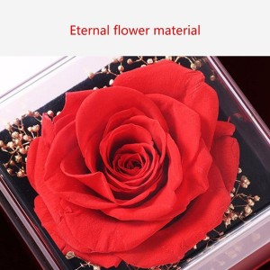AppleShaped Jewelry Gift Box Double-Open Jewelry Storage Box Birthday Gift